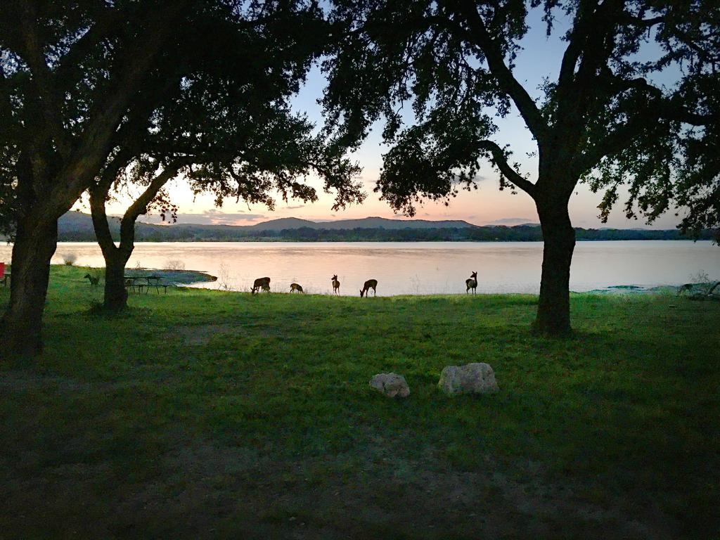 Medina Lake Camping Resort Cabin 3 Lakehills Esterno foto